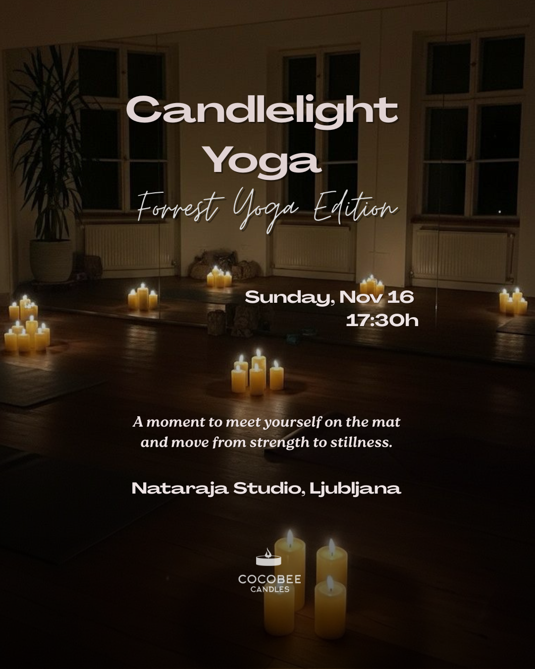 CANDLELIGHT FORREST YOGA 🌲✨