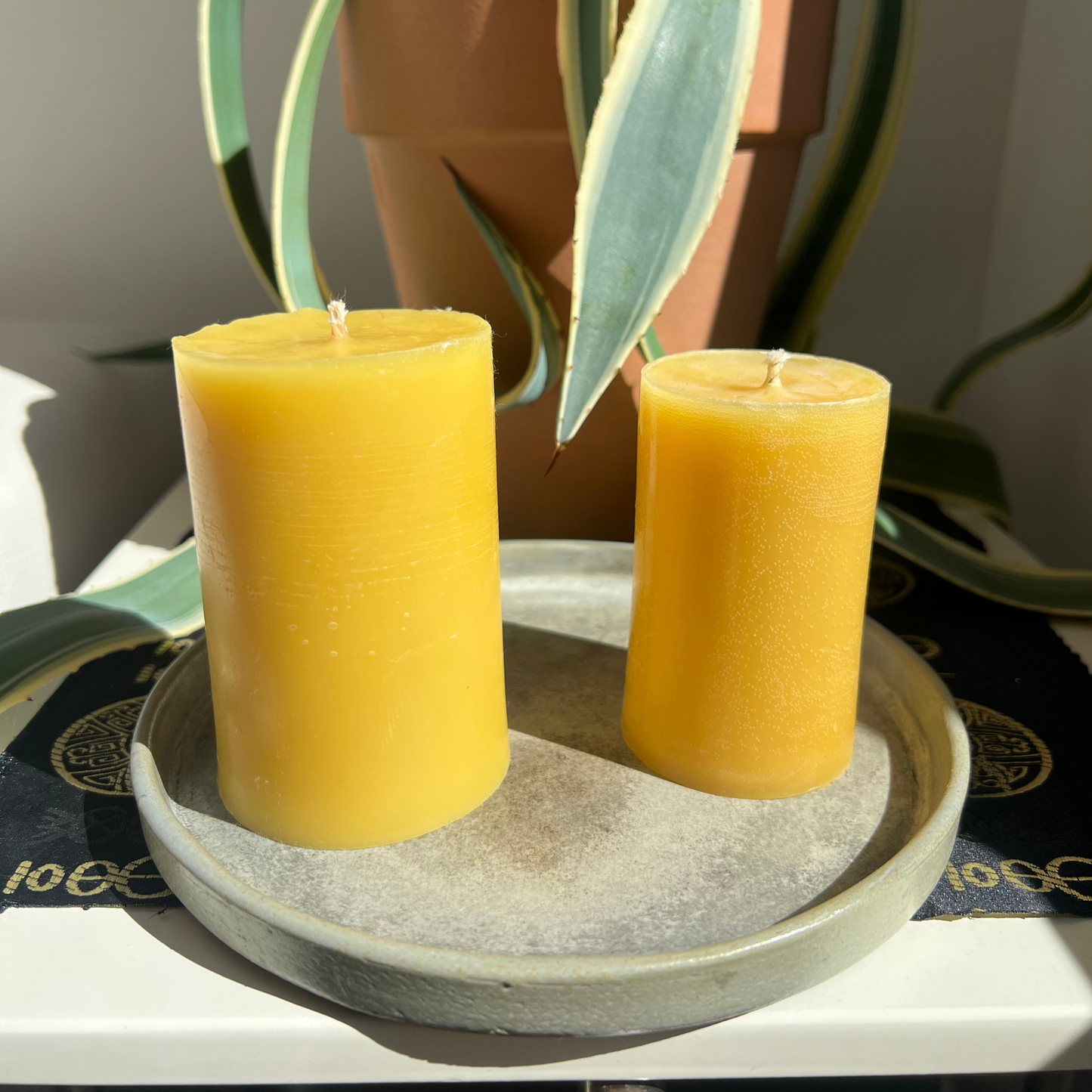 Two yellow candles on a stone tray with a plant in the background