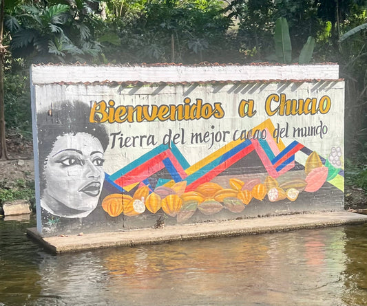 Chuao: The Sacred Land of Venezuelan Cacao