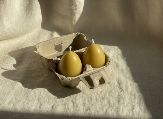 Two beeswax candles in a cardboard egg carton on a textured surface.