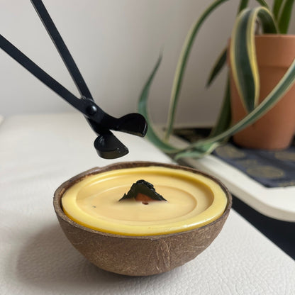 WICK TRIMMER